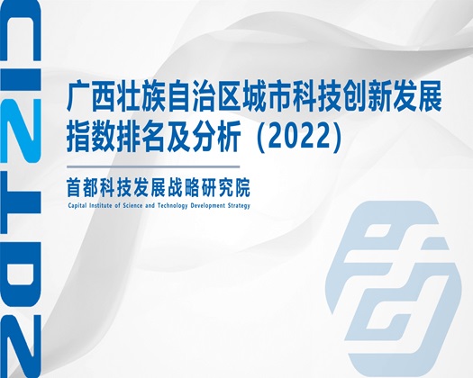 掰开小骚让我操【成果发布】广西壮族自治区城市科技创新发展指数排名及分析（2022）